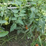 Apartamento Periklis Anavriti.