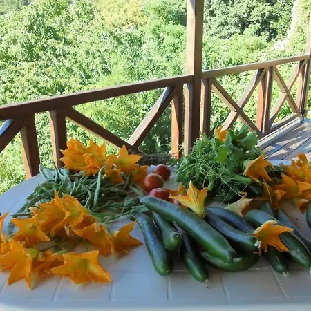 Periklis Anavriti. *