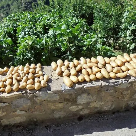 Periklis Anavriti. Szpárti