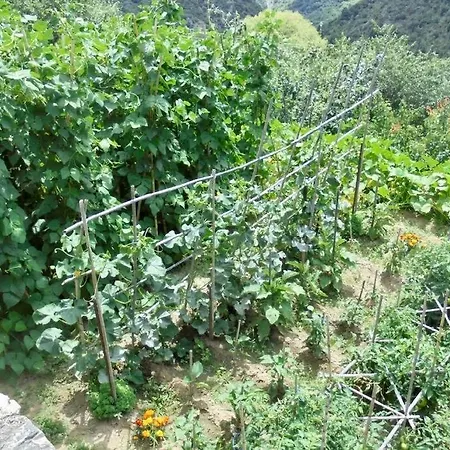 Periklis Anavriti. * Szpárti