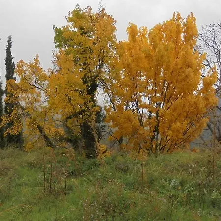 Periklis Anavriti.