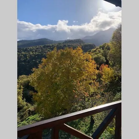 Periklis Anavriti. * Sparta