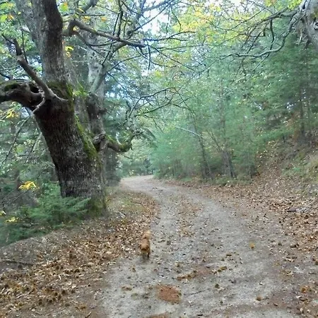 Apartman Periklis Anavriti.