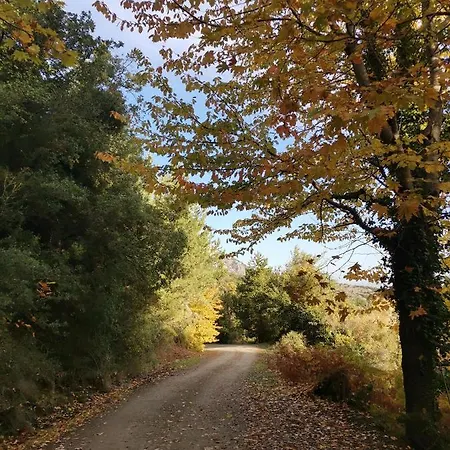 Periklis Anavriti. Lejlighed Sparta