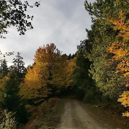 Periklis Anavriti. Lejlighed