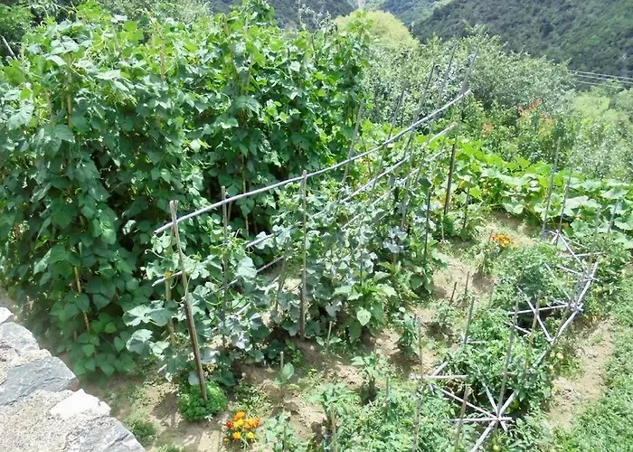 Periklis Anavriti. * Sparta