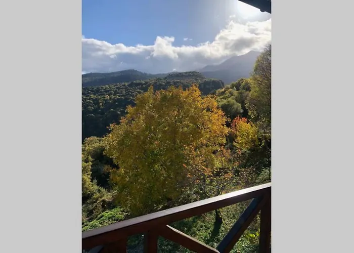 Periklis Anavriti. * Sparta