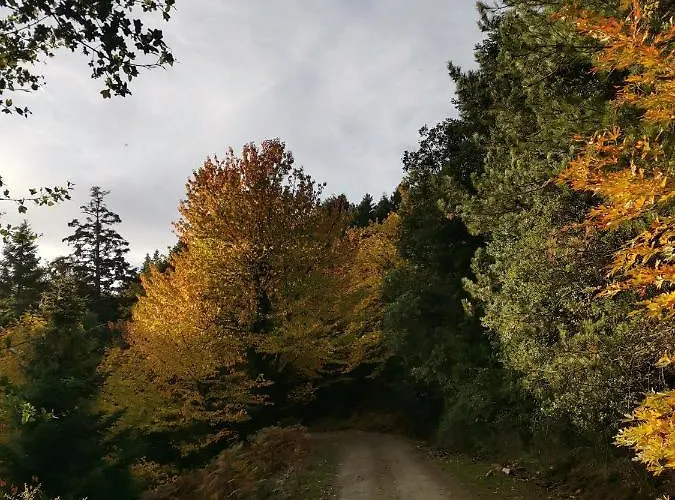 Periklis Anavriti. Apartmán